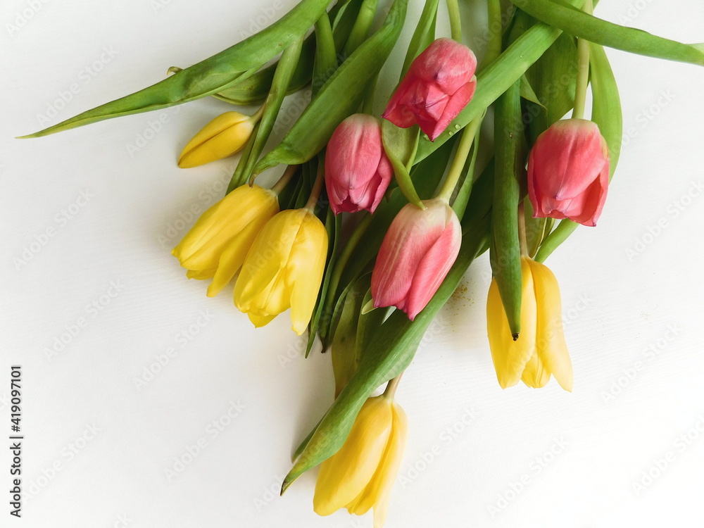 Beautiful bouquet of spring flowers. Tulips on a white background Beautiful bouquet of spring flowers. Tulips on a white background