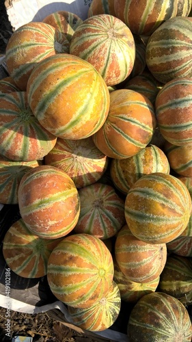 Scenic view of stocked Charentais melon or cantaloupe melon for multipurpose use