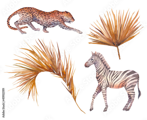 Watercolor palm tree leaves and wild animals set. Hand drawn zebra  leopard  exotic dry flora isolated on white background. Safari clip art. Summer plants illustration