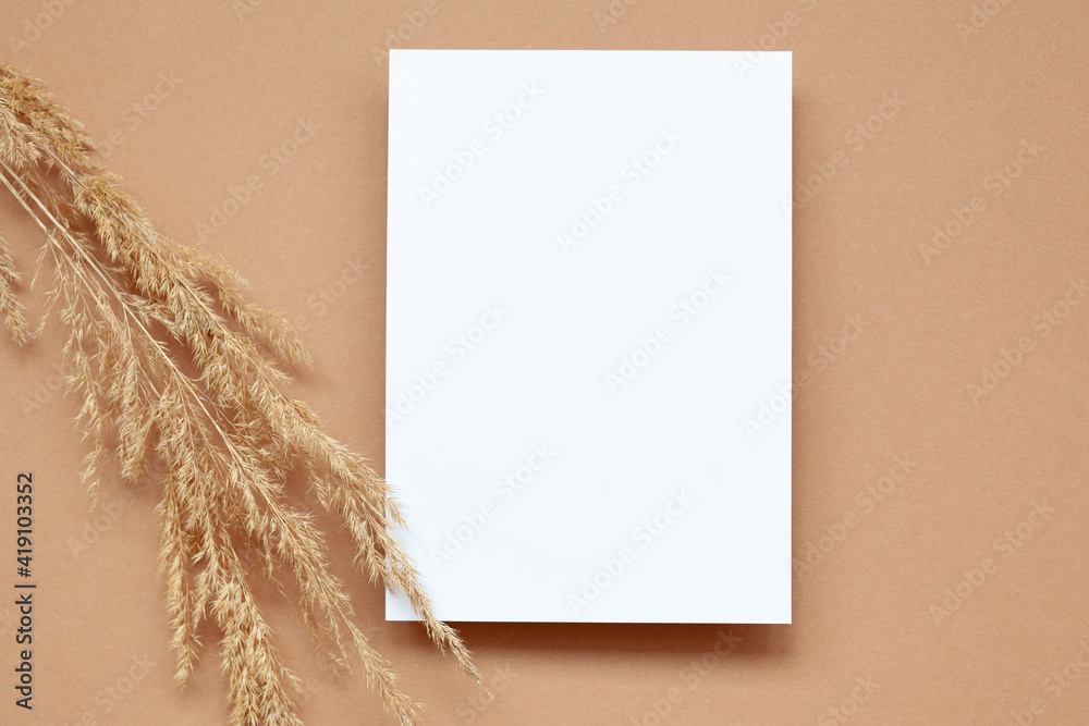 Mockup with empty blank paper and dried pampas grass over pastel beige background. Minimal, stylish concept. Mockup with empty blank paper and dried pampas grass over pastel beige background. Minimal, stylish concept.