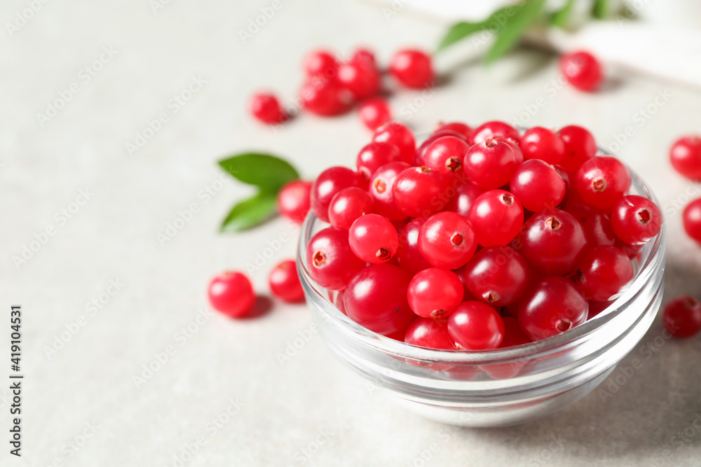 Fresh cranberry in bowl on light table, space for text Fresh cranberry in bowl on light table, space for text