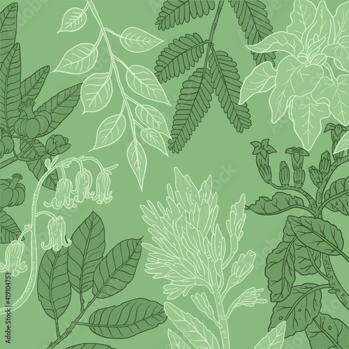 collection d'illustrations vectorielles de plantes avec feuilles et fleurs dans un style graphique au trait isolé sur fond vert © Louis