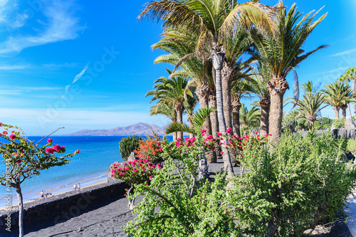 Puerto del Carmen beach in Lanzarote  Canary islands  Spain. blue sea  palm trees  selective focus