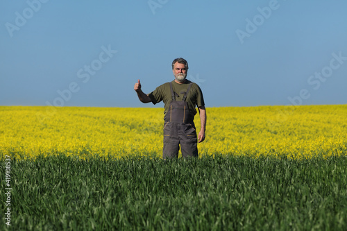 Cheerful farmer or agronomist examining wheat and canola fields and gesturing with thumb up