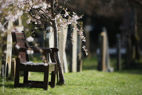 Wooden bench in a churchyard overlooking grave stones in Spring