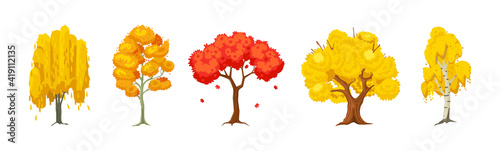 Cartoon autumn tree set. Aspen, birch, oak, maple, willow wood plants with leaf. Green big planting trees for garden forest park landscape cartoon isolated