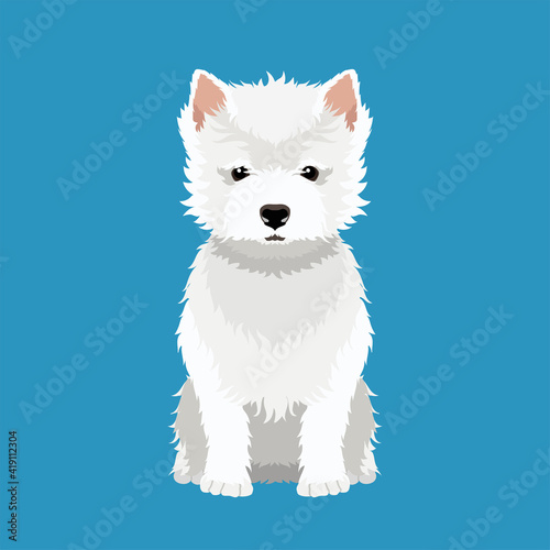 Vector illustration of West Highland White Terrier isolated on white background	
