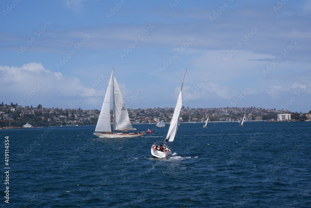 Naklejka premium Sailing in Sydney