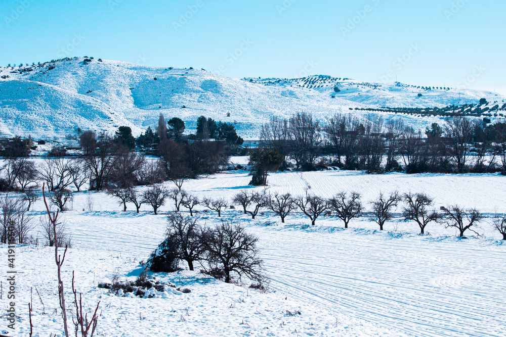 paisaje nevado con árboles en la llanura
