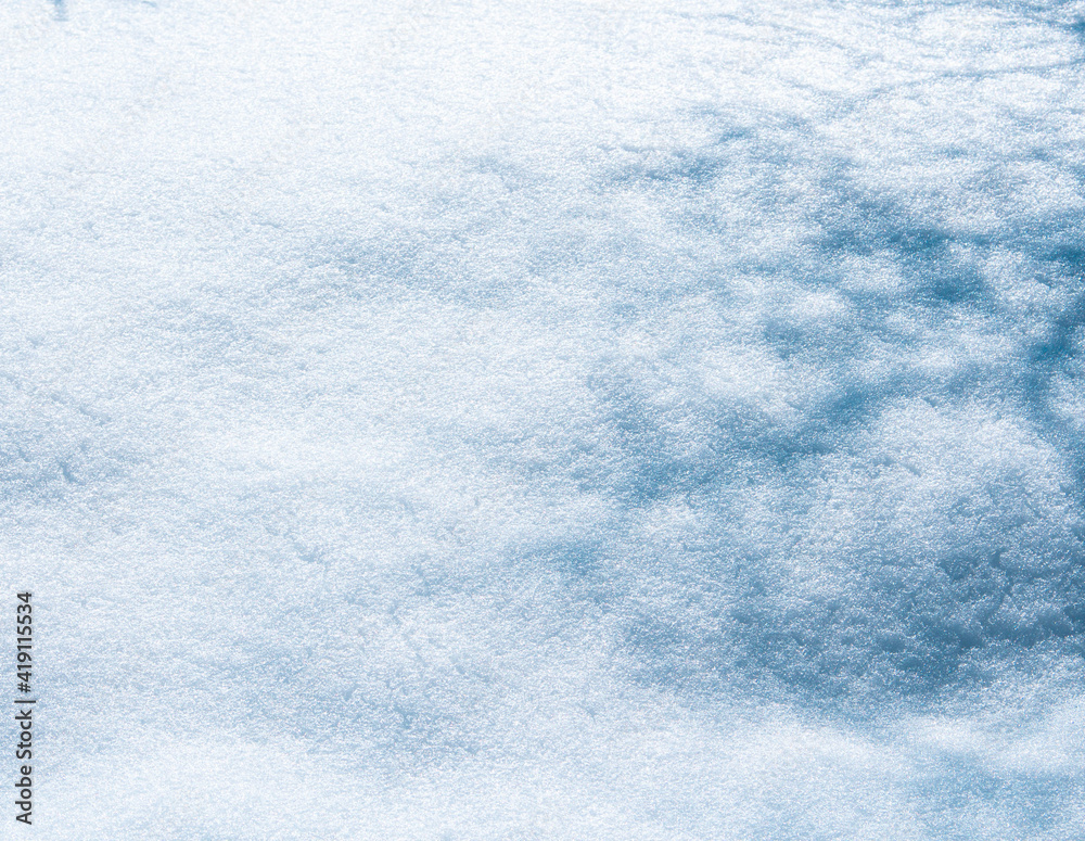 sombra de arbol en textura de nieve virgen 