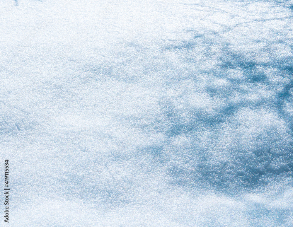sombra de arbol en textura de nieve virgen sombra de arbol en textura de nieve virgen