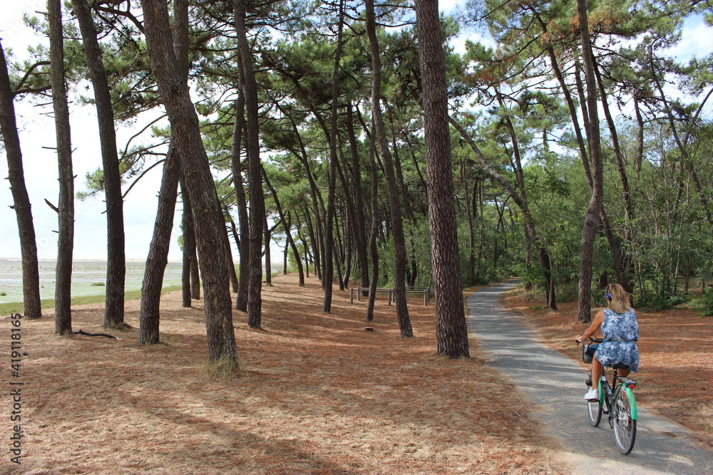 Fototapeta premium Femme en vélo sur une piste cyclable (Vélodyssée), forêt de la Palmyre près de Royan