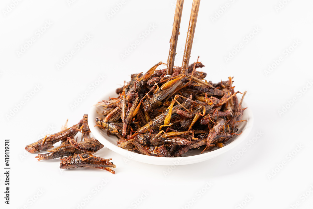 Pure white background characteristic food pepper salt migratory locust
