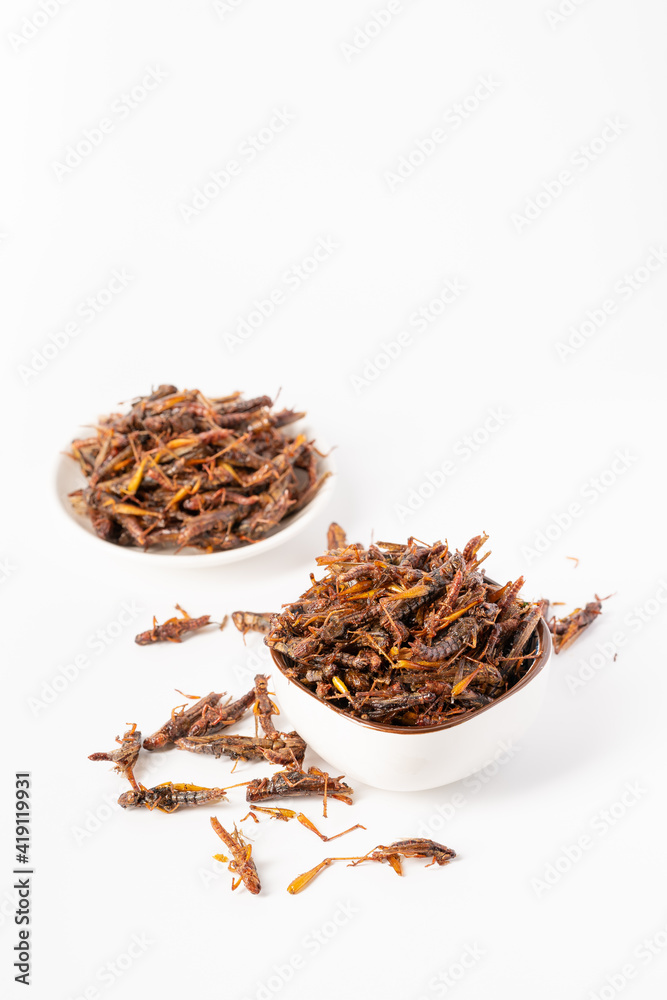 Pure white background characteristic food pepper salt migratory locust Pure white background characteristic food pepper salt migratory locust