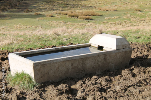 A Farm Animal Drinking Trough Surrounded by Mud.