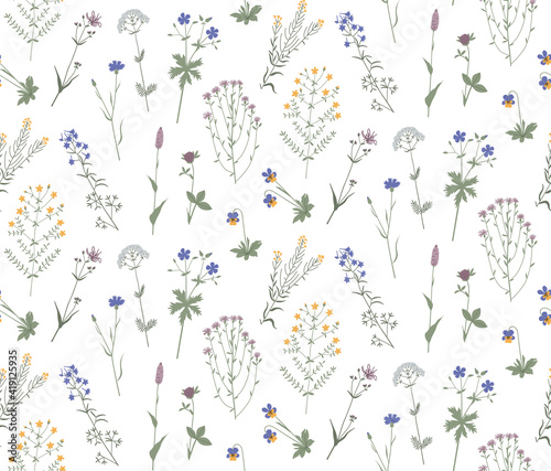 Floral vector seamless pattern with meadow wild flowers, plants and herbs. Hand drawn illustration isolated on white background. For wrapping, fabric, wallpaper.