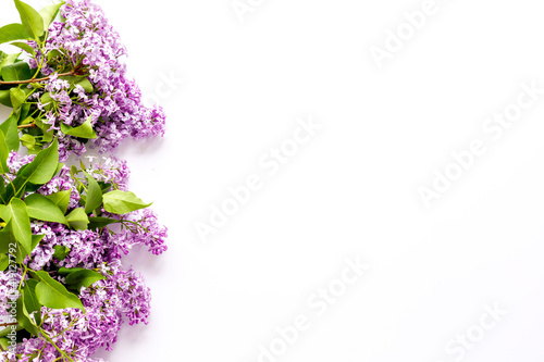 Branch of pink lilac flowers. Top view, copy space