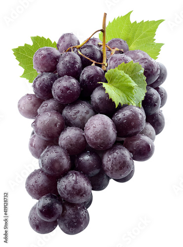 Black grape isolate. Black grape with leaves on white background. Blue grapes isolated on white. Clipping path. Full depth of field.