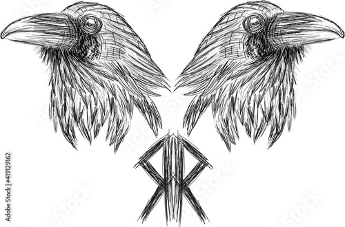 Ravens heads vector sketch  - original sketch portrait print 