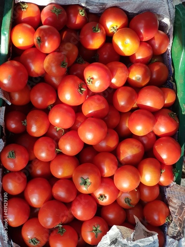 Fresh Red Tomatoes in the basket (Solanum Lycopersicum)