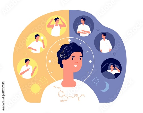 Day night rhythm. Natural sleep, schedule day night. Melatonin sleeping people, morning evening activity. Healthy life balance cycle utter vector concept. Illustration cycle sleep, rhythm daily