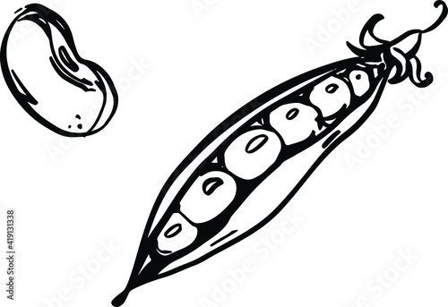 Soy or soya beans icon isolated on white background. Vector illustration. Eps 10 © irina
