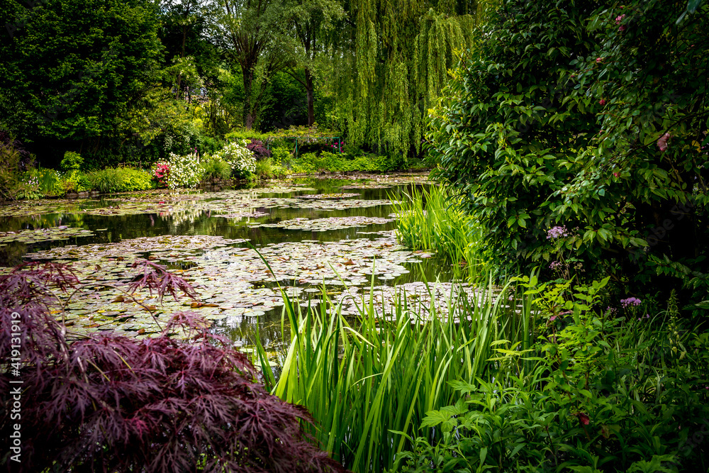 Ταπετσαρία Pond, trees, and waterlilies in a french garden