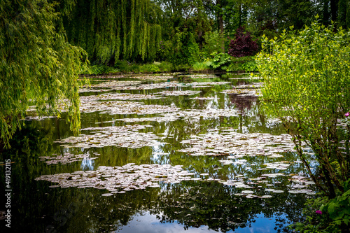 Fotografie, Obraz Pond, trees, and waterlilies in a french garden