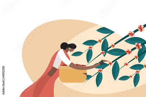 Illustration of a woman harvesting coffee beans from the plant