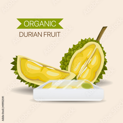 Durian delicious fruit vector design. Durian fruit whole and peeled