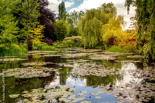 Fototapeta Pond, trees, and waterlilies in a french garden
