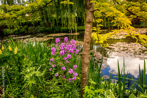Obraz na plátně Pond, trees, and waterlilies in a french garden