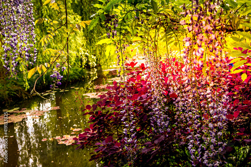 Fotografie Pond, trees, and waterlilies in a french garden