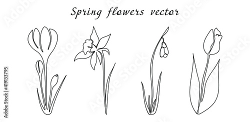 Set spring by drawn one line. Vector illustration in graphic style.