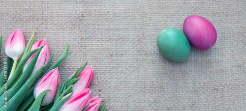 Pink Tulips and Easter Eggs on gray cloth Background.