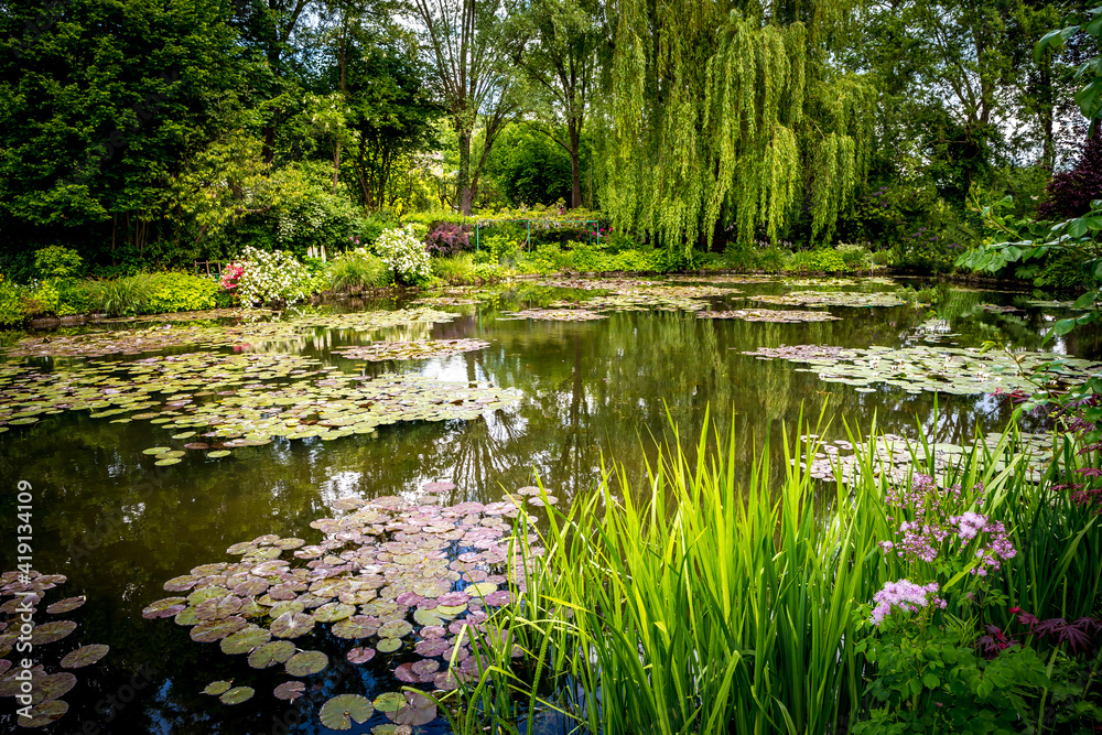 Pond, trees, and waterlilies in a french garden Pond, trees, and waterlilies in a french garden