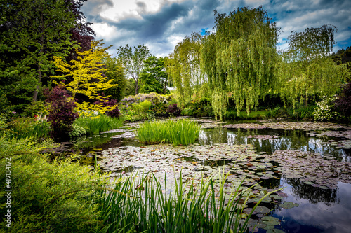 Fotografie Pond, trees, and waterlilies in a french garden