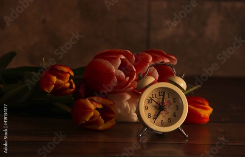 red tulips with old watch