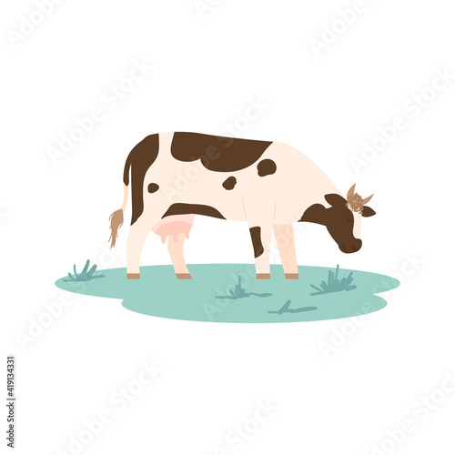 Breeding cow, milk animal grazing in a meadow. Agricultural farm on breed cattle and production of dairy products. Flat cartoon vector illustration isolated on a white.