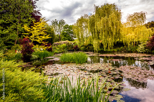Fotografi Pond, trees, and waterlilies in a french garden
