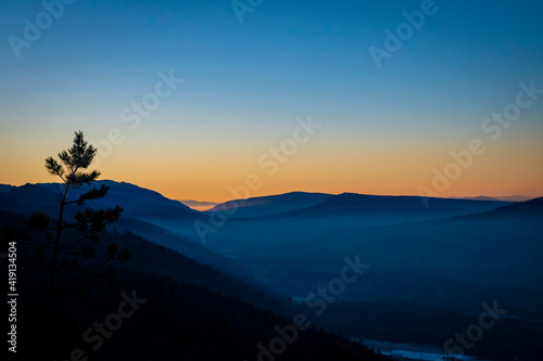 A lonely pine tree growing on a rock and colorful sunset illuminating the sky over the foggy valley. Tatra Mountains, Poland. Selective focus on the ridge, blurred background.