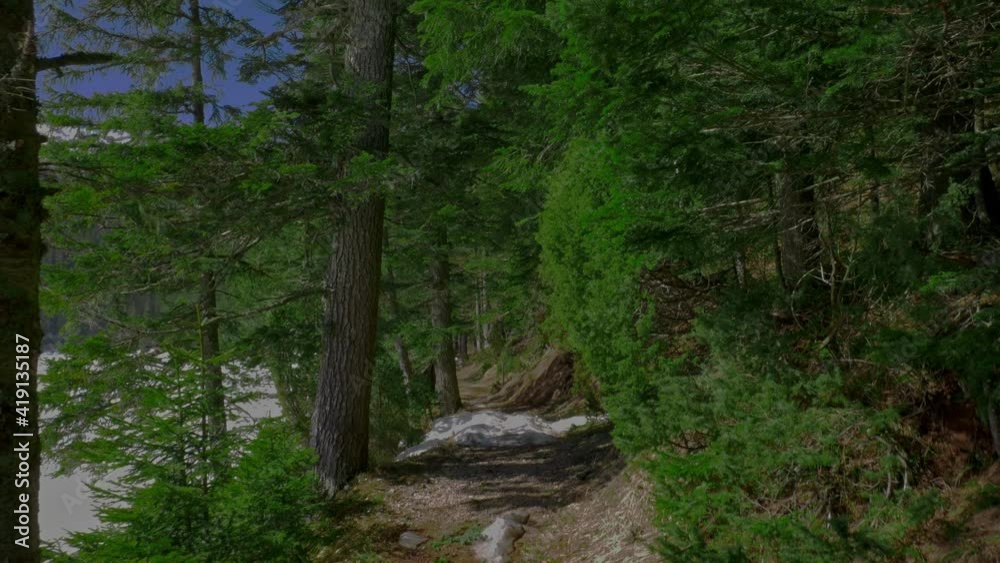 Walking through the path in wild forest near green trees in sunny day. Snow on the ground. Wild nature. Montenegro hiking. Hands on shot