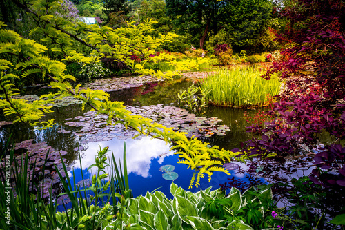 Tela Pond, trees, and waterlilies in a french garden