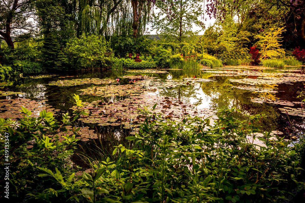 Pond, trees, and waterlilies in a french garden Pond, trees, and waterlilies in a french garden