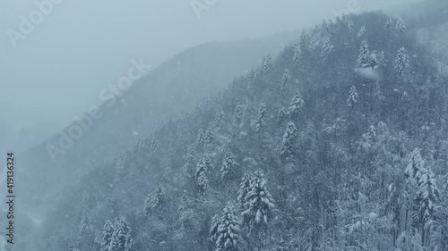 Wallpaper Mural Aerial shot: spruce and pine winter forest completely covered by snow. Torontodigital.ca