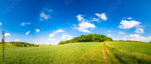 Sunny summer landscape with green field © luchschenF