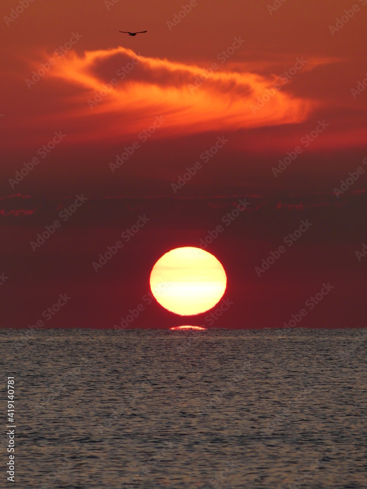 Sunset / sunrise over the sea with bird and cloud Valencia Spain Sunset / sunrise over the sea with bird and cloud Valencia Spain