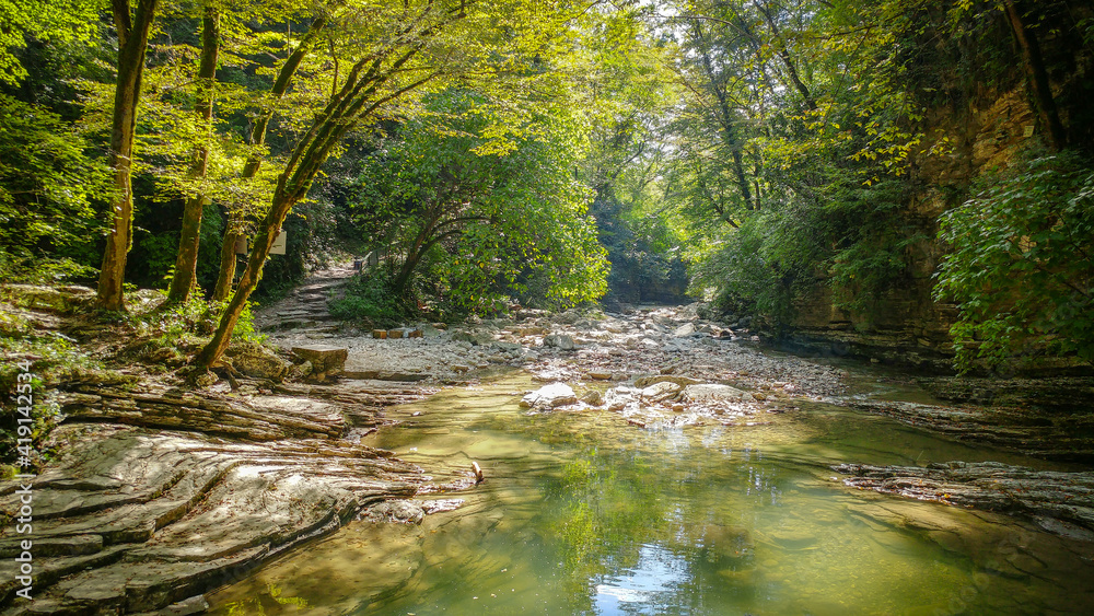 Wild rainforest landscape with sharp rocks and flowing river Wild rainforest landscape with sharp rocks and flowing river
