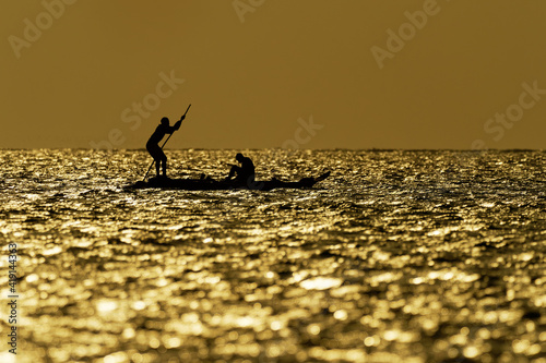Zanzibar Island coast (Tanzania, Zanzibar Archipelago). Typical local aboriginal boats in the evenind and the dusk. Ocean with the sailing boat. Sunrise or sunset, silhouette and outline photo