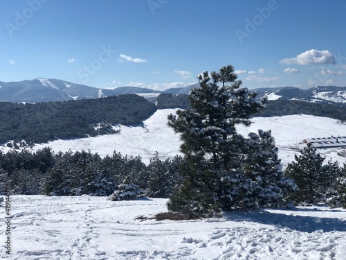 winter landscape in the mountains